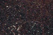 Terrain Sample