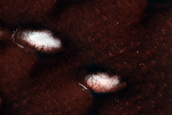 Terrain Sample