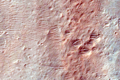 Ongoing Dune Activity in Ganges Chasma