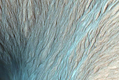 Gully Frost Monitoring