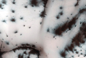Terrain Sample