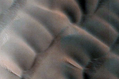 Abalos Undae Polar Crater Dunes