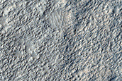 Monitor for Dust Devils
