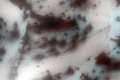 Terrain Sample