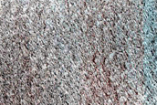 Terrain Sample