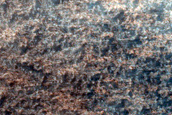 Terrain Sample