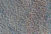 Terrain Sample