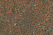 Terrain Sample