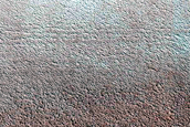Terrain Sample