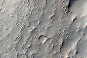 Southern Mid-Latitude Terrain