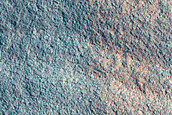 Gully and Frost Monitoring