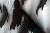 Terrain Sample