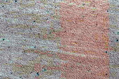Terrain Sample