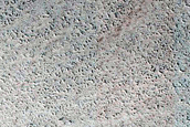 Terrain Sample