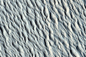 Northern Amazonis Planitia