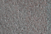 North Polar Terrain Sample
