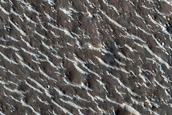 Groups of Ridges in Granicus Valles