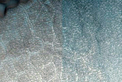 Dune Monitoring in Northern Mid-Latitude Crater