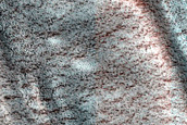 North Polar Terrain Sample