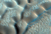 Dunes Dubbed Redondo