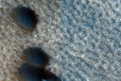 Terrain Sample