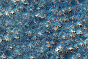 Dust-Raising Event Monitoring at Location of Viking Image 775A11