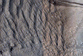 Lycus Sulci