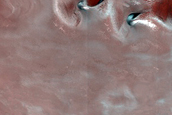 East Louth Crater Ice and Dune Seasonal Monitoring