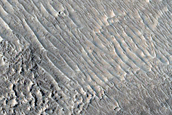 Northern Mid-Latitude Terrain
