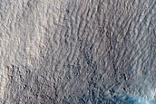 Gully Monitoring
