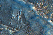 Gully Monitoring