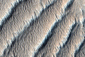 Rocks and Ripples