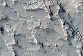 Terrain Sample