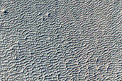 Dark Slope Streak Monitoring in Crater near Apollinaris Mons