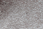 Monitor Dunes with Springtime Streaks in Viking 2 Image 544B05