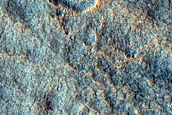 Scalloped Depressions in Utopia Planitia