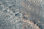 Structures of Debris on Lobate Debris Apron in Nilosyrtis Region
