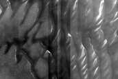 Terrain Sample
