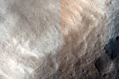 Tempe Terra
