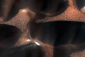 Terrain Sample