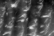 Terrain Sample