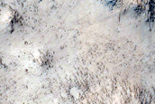 Northern Mid-Latitude Terrain