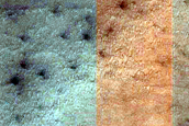Terrain Sample