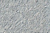 Lava Surfaces in Cerberus Palus