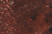 Terrain Sample