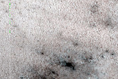 Terrain Sample