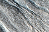 Gullies along Mesa Wall in North Tempe Terra