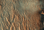 North Polar Spring Defrost Monitor Site