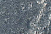 Daedalia Planum Terrain Sample