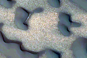 Polar Dunes Monitoring
